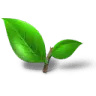 Nerve Fresh Official website